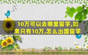 10万可以去哪里留学,如果只有10万,怎么出国留学