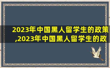 2023年中国黑人留学生的政策,2023年中国黑人留学生的政策是什么