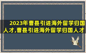 2023年曹县引进海外留学归国人才,曹县引进海外留学归国人才领导小组