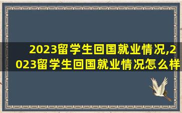 2023留学生回国就业情况,2023留学生回国就业情况怎么样