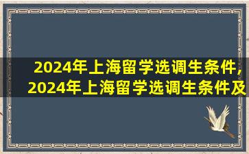 2024年上海留学选调生条件,2024年上海留学选调生条件及要求