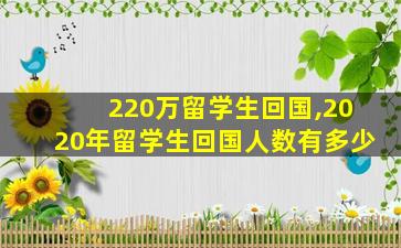 220万留学生回国,2020年留学生回国人数有多少