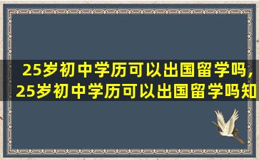 25岁初中学历可以出国留学吗,25岁初中学历可以出国留学吗知乎