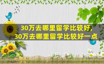 30万去哪里留学比较好,30万去哪里留学比较好一点