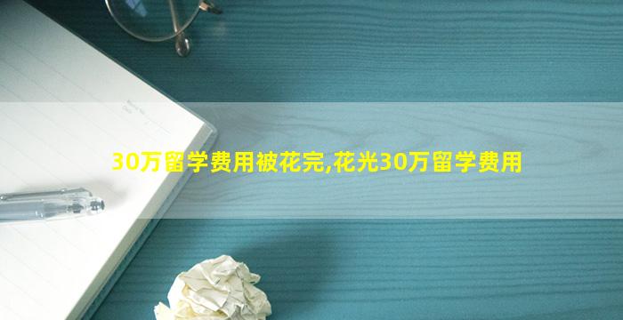 30万留学费用被花完,花光30万留学费用