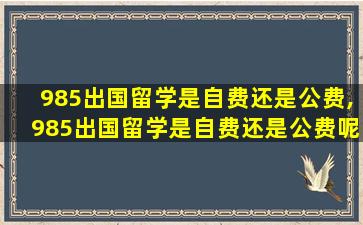 985出国留学是自费还是公费,985出国留学是自费还是公费呢