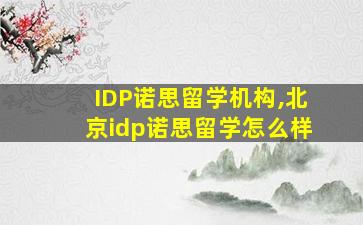 IDP诺思留学机构,北京idp诺思留学怎么样