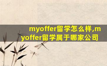 myoffer留学怎么样,myoffer留学属于哪家公司