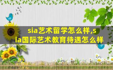 sia艺术留学怎么样,sia国际艺术教育待遇怎么样