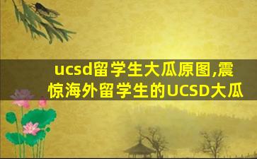 ucsd留学生大瓜原图,震惊海外留学生的UCSD大瓜