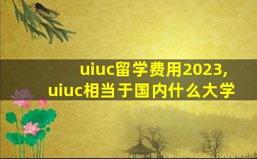 uiuc留学费用2023,uiuc相当于国内什么大学