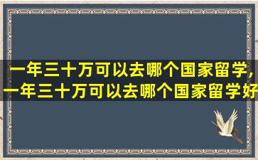 一年三十万可以去哪个国家留学,一年三十万可以去哪个国家留学好