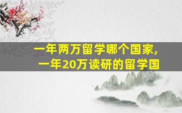 一年两万留学哪个国家,一年20万读研的留学国