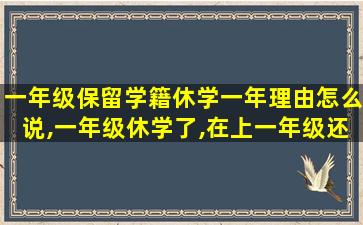 一年级保留学籍休学一年理由怎么说,一年级休学了,在上一年级还要报名吗