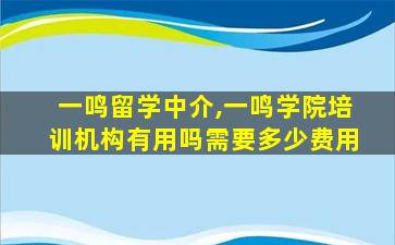 一鸣留学中介,一鸣学院培训机构有用吗需要多少费用