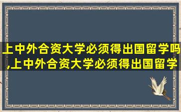 上中外合资大学必须得出国留学吗,上中外合资大学必须得出国留学吗知乎