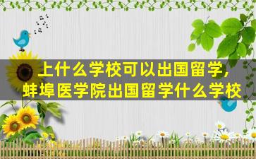 上什么学校可以出国留学,蚌埠医学院出国留学什么学校