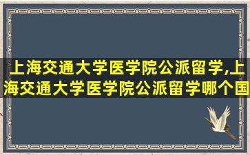 上海交通大学医学院公派留学,上海交通大学医学院公派留学哪个国家