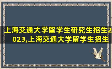 上海交通大学留学生研究生招生2023,上海交通大学留学生招生2023