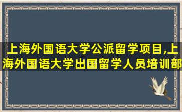 上海外国语大学公派留学项目,上海外国语大学出国留学人员培训部及海外合作学院