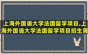 上海外国语大学法国留学项目,上海外国语大学法国留学项目招生简章