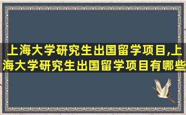 上海大学研究生出国留学项目,上海大学研究生出国留学项目有哪些