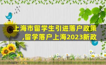 上海市留学生引进落户政策,留学落户上海2023新政