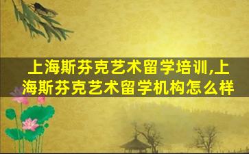 上海斯芬克艺术留学培训,上海斯芬克艺术留学机构怎么样