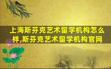 上海斯芬克艺术留学机构怎么样,斯芬克艺术留学机构官网