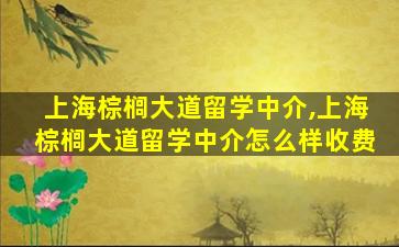 上海棕榈大道留学中介,上海棕榈大道留学中介怎么样收费