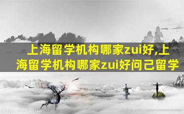 上海留学机构哪家zui
好,上海留学机构哪家zui
好问己留学