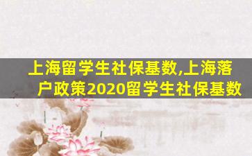 上海留学生社保基数,上海落户政策2020留学生社保基数