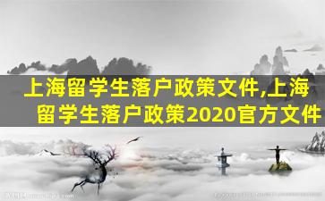 上海留学生落户政策文件,上海留学生落户政策2020官方文件