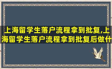 上海留学生落户流程拿到批复,上海留学生落户流程拿到批复后做什么