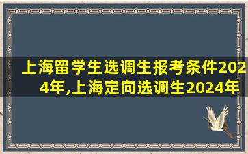 上海留学生选调生报考条件2024年,上海定向选调生2024年公告