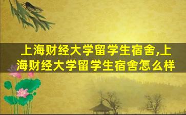 上海财经大学留学生宿舍,上海财经大学留学生宿舍怎么样