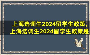 上海选调生2024留学生政策,上海选调生2024留学生政策是什么