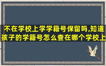 不在学校上学学籍号保留吗,知道孩子的学籍号怎么查在哪个学校上学