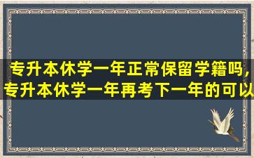 专升本休学一年正常保留学籍吗,专升本休学一年再考下一年的可以吗