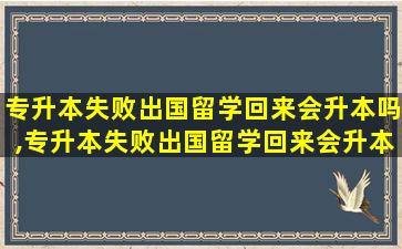 专升本失败出国留学回来会升本吗,专升本失败出国留学回来会升本吗女生