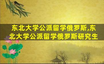 东北大学公派留学俄罗斯,东北大学公派留学俄罗斯研究生