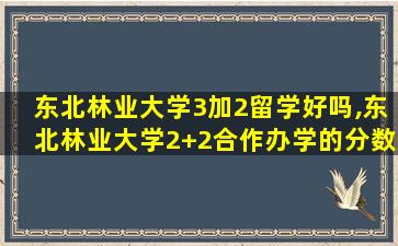 东北林业大学3加2留学好吗,东北林业大学2+2合作办学的分数线