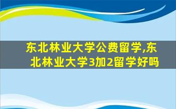 东北林业大学公费留学,东北林业大学3加2留学好吗