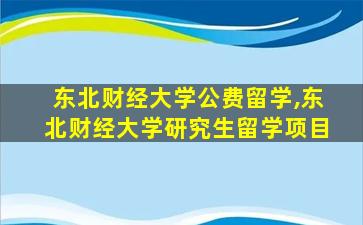 东北财经大学公费留学,东北财经大学研究生留学项目