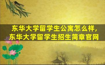 东华大学留学生公寓怎么样,东华大学留学生招生简章官网