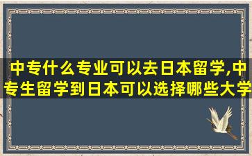 中专什么专业可以去日本留学,中专生留学到日本可以选择哪些大学