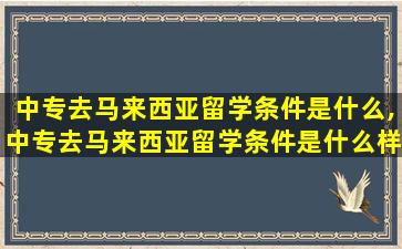 中专去马来西亚留学条件是什么,中专去马来西亚留学条件是什么样的