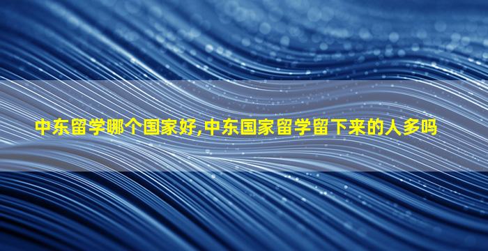 中东留学哪个国家好,中东国家留学留下来的人多吗