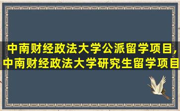 中南财经政法大学公派留学项目,中南财经政法大学研究生留学项目