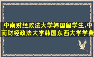 中南财经政法大学韩国留学生,中南财经政法大学韩国东西大学学费